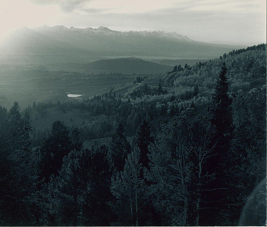 1994. Montana.