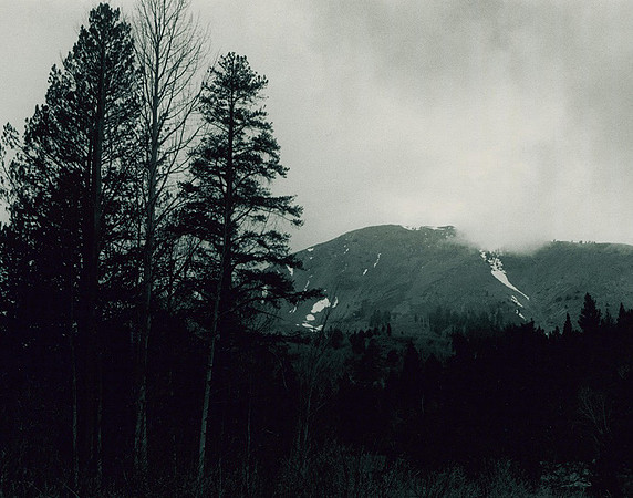 2015. May. Above the snow line near Lake Tahoe.
