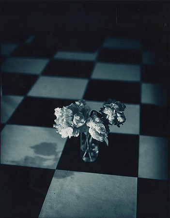 2012. Peonies.