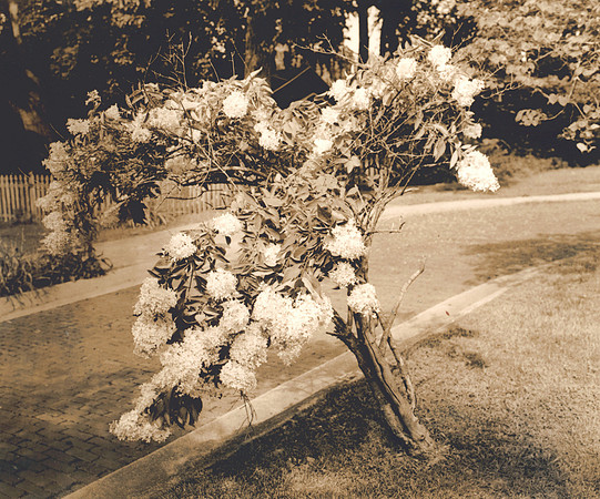 2026. August.  South Bend. Agfa Viridon toned print.