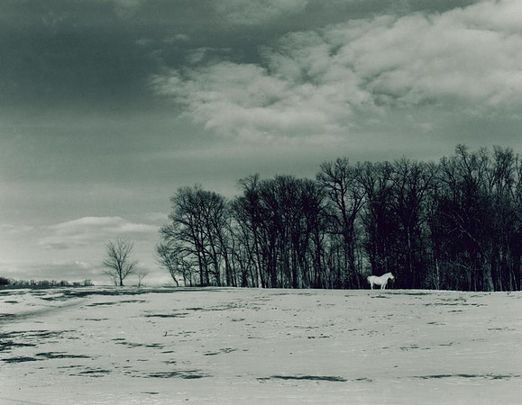 2011.  Near South Bend, Indiana.