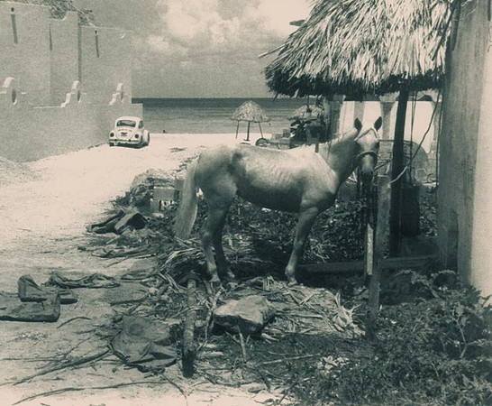 1992.  Mexico.