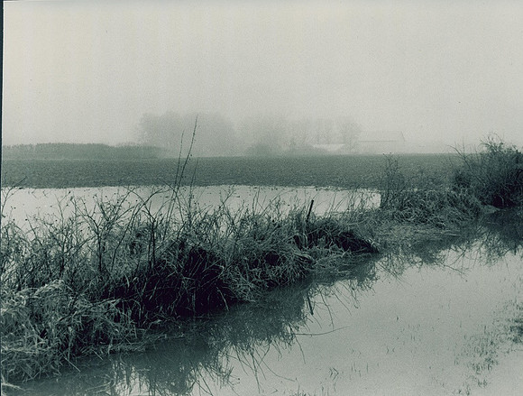 2017. January thaw, St. Joseph County, Indiana.