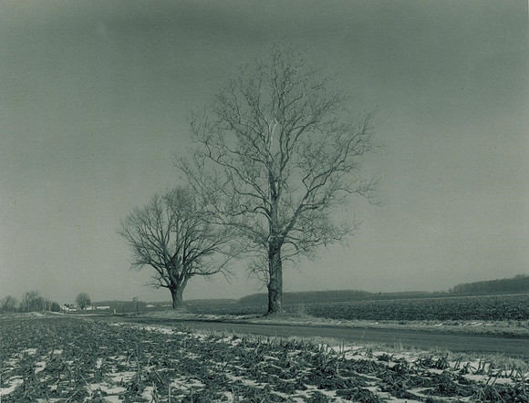 2013. March. Elm Road, St. Joseph County, Indiana.