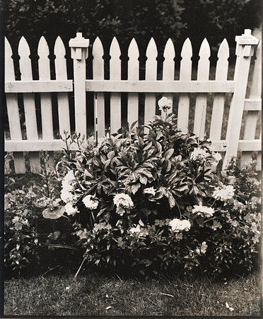 2021. June. 8x10 paper negative print.
