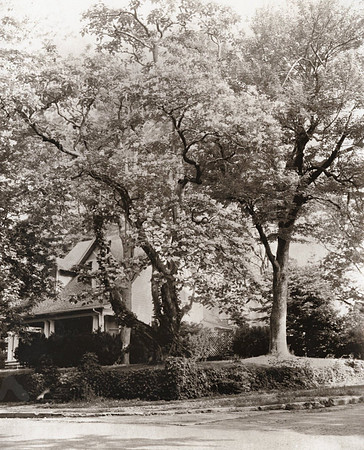 2021. June. 8x10 paper negative print